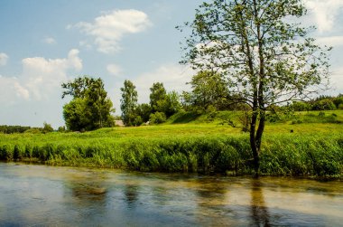 Nehir ve yeşillik ile güzel doğal manzara