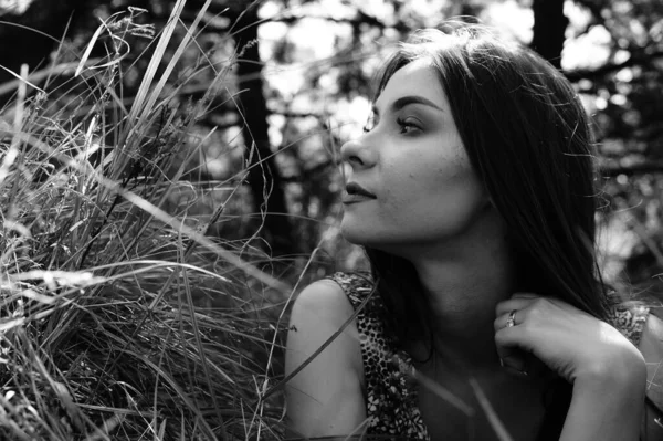 Portrait of an young beautiful sexy woman on the nature — Stock Photo, Image