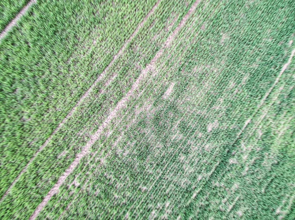 La vista dall'alto del parco Jatujak nella città di Bangkok. Al mattino la gente ama venire ad allenarsi qui. Il giardino è stato progettato per la geometria di circolare e triangolo sembrano segno pacifico . — Foto Stock