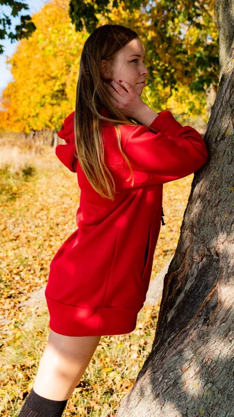 Απίστευτα εντυπωσιακό κορίτσι σε ένα κόκκινο φόρεμα. Το φόντο είναι εκπληκτικές. Καλλιτεχνική φωτογραφία. — Φωτογραφία Αρχείου