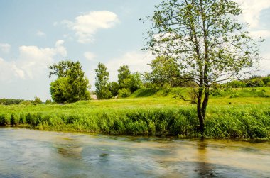 Nehir ve yeşillik ile güzel doğal manzara