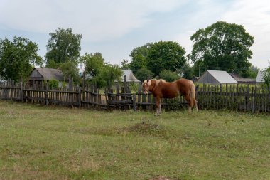 At otlakta