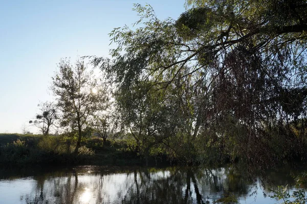 Zonnige dag op een rustige rivier in de zomer. — Stockfoto