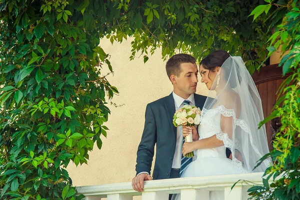 Hermosa pareja en la boda ucraniana Lutsk — Foto de Stock