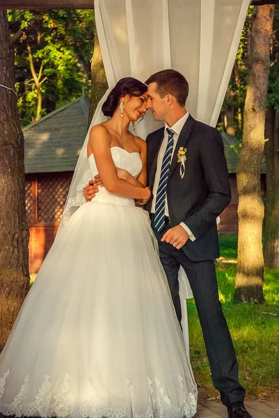 우크라이나 에서 결혼식을 올린 아름다운 부부, 루츠크 — 스톡 사진
