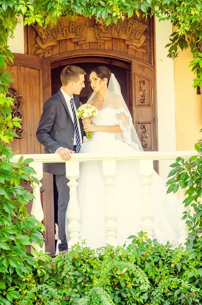 Groom Bride Posing Together Balcony Green Foliage — стоковое фото