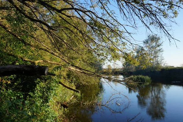 Día soleado en un río tranquilo en verano. — Foto de Stock