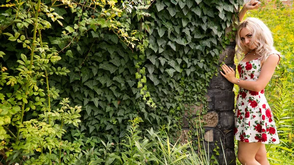 Retrato de hermosa chica en el campo —  Fotos de Stock