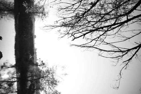 Preto branco amplo panorama de colinas e pastagem fazenda em torno do Lago Lyell no rio Coxs em Blue Mountains of Australia. manhã nebulosa cobre paisagem que reflete em águas tranquilas . — Fotografia de Stock
