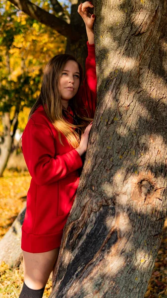 赤いドレスの信じられないほどの美しい少女。背景は、幻想的な秋です。芸術的な写真. — ストック写真