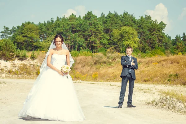 Novomanželé Pózující Přírodní Scéně Lesem Pozadí — Stock fotografie