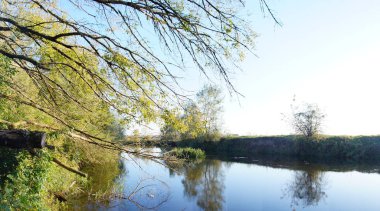 Yazın sakin bir nehirde güneşli bir gün.