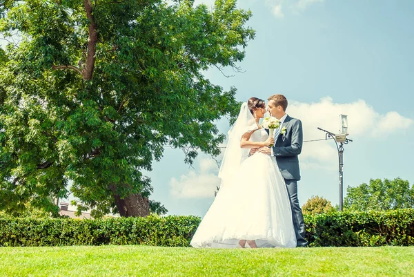 Счастливый Жених Невеста Позируют Вместе Зеленой Лужайке — стоковое фото