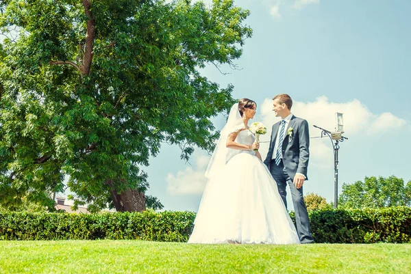 Happy Groom Bride Posing Together Green Lawn — Fotografia de Stock