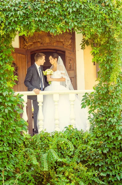 Ženich Nevěsta Pózují Společně Balkóně Zeleným Listím — Stock fotografie