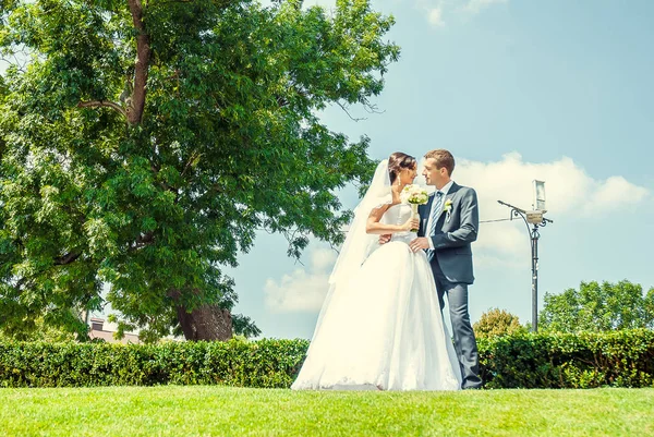 幸せな新郎新婦が一緒に緑の芝生の上でポーズをとって — ストック写真