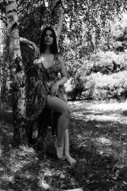 Genç, güzel, seksi bir kadının portresi.