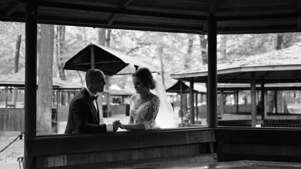 Sposa e sposo a piedi nel parco estivo all'aperto passeggiata nuziale, tipico matrimonio ucraino Lviv Ucraina 19.09.19 — Foto Stock