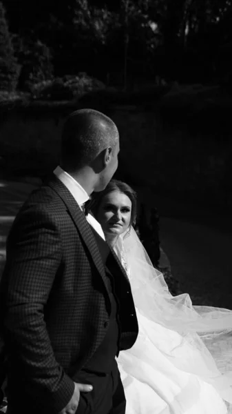 Novia y novio caminando en el parque de verano al aire libre wal boda — Foto de Stock