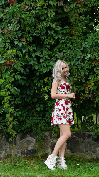 Сексуальна Блондинка Літній Сукні Природі — стокове фото