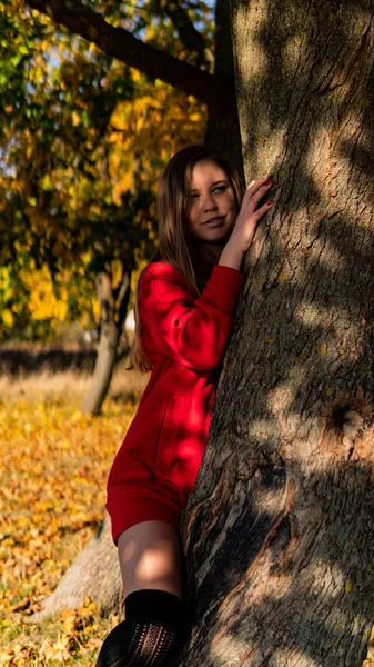 Menina impressionante incrível em um vestido vermelho. O fundo é fantástico outono. Fotografia artística . — Fotografia de Stock