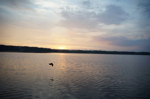 Vista Pitoresca Mar Sem Fim Com Belo Nascer Sol Céu — Fotografia de Stock