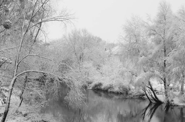 Neve inverno paisagem . — Fotografia de Stock