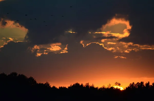 Solnedgång på stranden med vacker himmel — Stockfoto