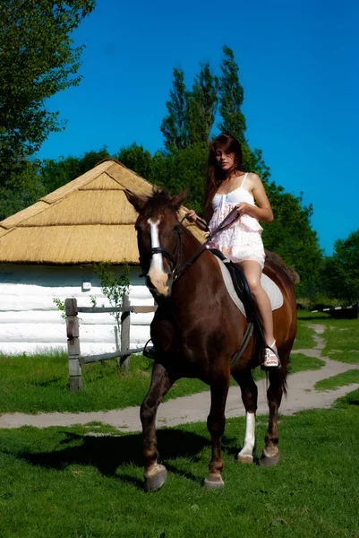 Attraktive Junge Frau Posiert Auf Dem Land Auf Dem Pferd — Stockfoto