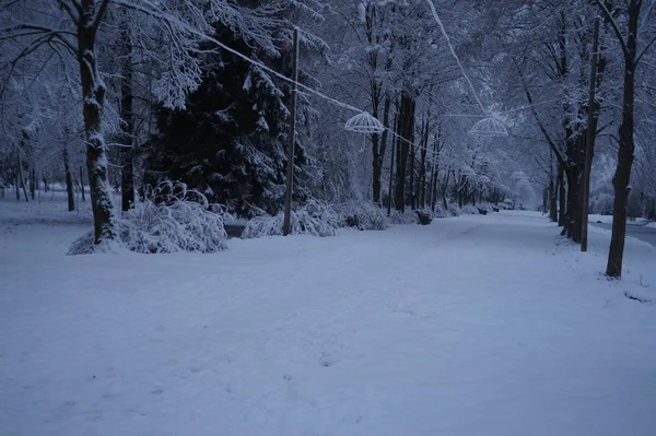 Jul vinter bakgrund med snö och suddig bokeh.God jul och gott nytt år gratulationskort med kopia utrymme. — Stockfoto