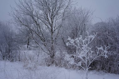 Boş alan ve kış manzarasından oluşan ahşap masa