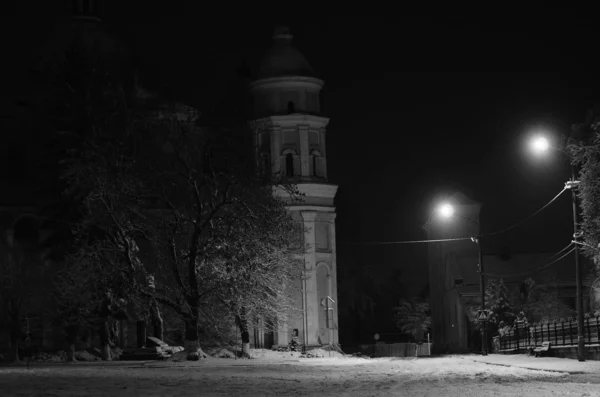 Night winter landscape in the alley of city park — Stock Photo, Image