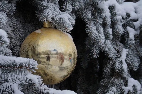 Duża świąteczna dekoracja na drzewie — Zdjęcie stockowe