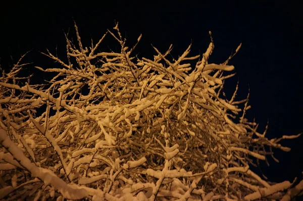 Śnieżne Zimowe Miasto Nocy — Zdjęcie stockowe