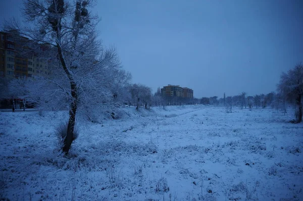 冬季景观。冰雪覆盖的树木. — 图库照片