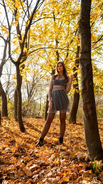 Jonge Mooie Vrouw Wandelen Het Park Herfst — Stockfoto