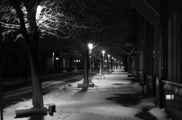 Paisagem de inverno noturno no beco do parque da cidade — Fotografia de Stock