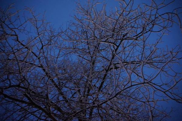 Ville d'hiver enneigée dans la nuit . — Photo