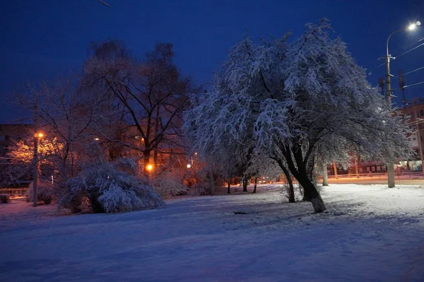 Snowy winter city in the night. — Stock Photo, Image