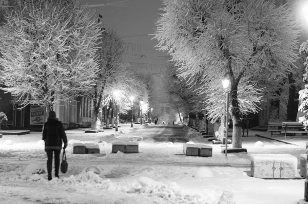 Noc Zima Krajobraz w alei parku miejskiego — Zdjęcie stockowe