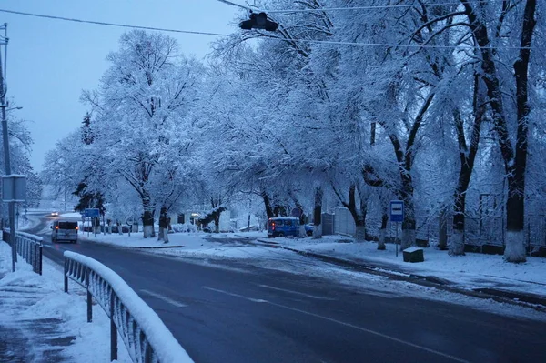 Kış manzarası. Ağaçlar kar kaplı. — Stok fotoğraf