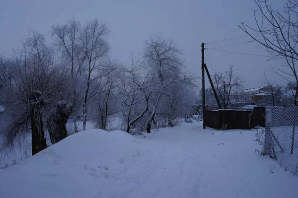 Sıcaklık Ile Sisli Kış Manzarası — Stok fotoğraf