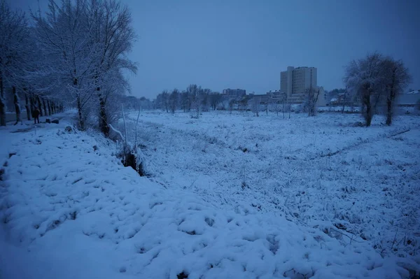 冬の風景。木が雪に覆われています。. — ストック写真