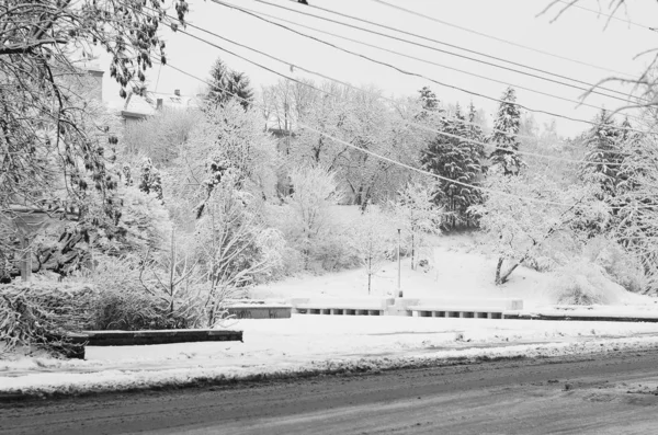 Nieve paisaje invierno . —  Fotos de Stock