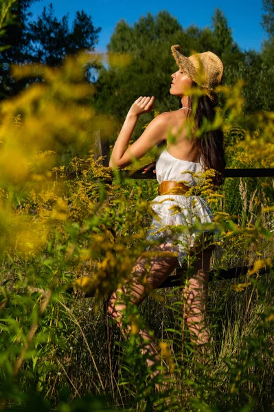 Krásná Žena Letním Oblečení Pózuje Zelené Louce — Stock fotografie