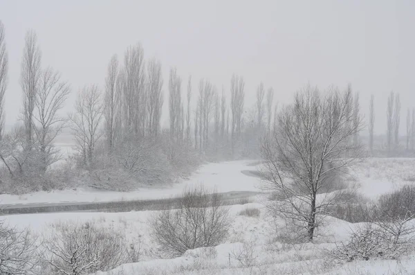 雪に覆われた冬の風景 — ストック写真