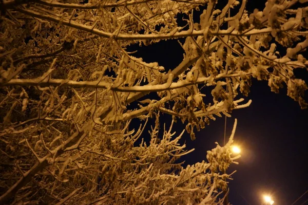 Śnieżne zimowe miasto w nocy. — Zdjęcie stockowe