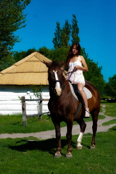 Attractive Young Woman Posing Camera Countryside Sitting Horse — Stock Photo, Image