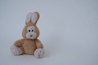 Yumuşak oyuncak ayı