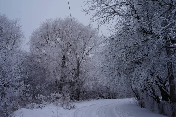 Holztisch des freien Raumes und Winterlandschaft — Stockfoto